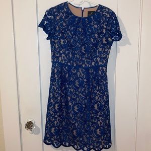 Adrianna Papell Blue Lace Dress